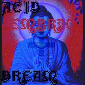 Acid Dream : The Acid Dream Embryo - ​Repeating Dreams of Killing Siddhartha